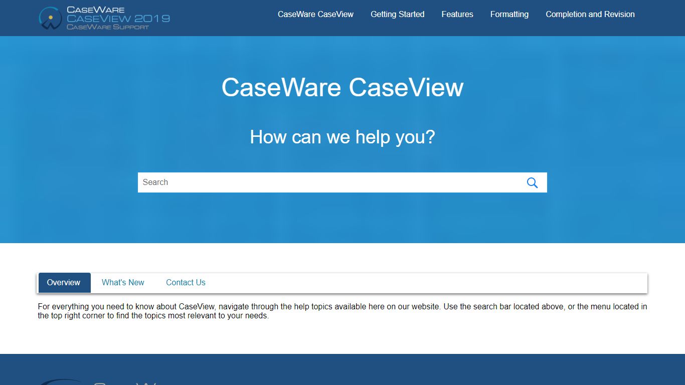 CaseWare CaseView